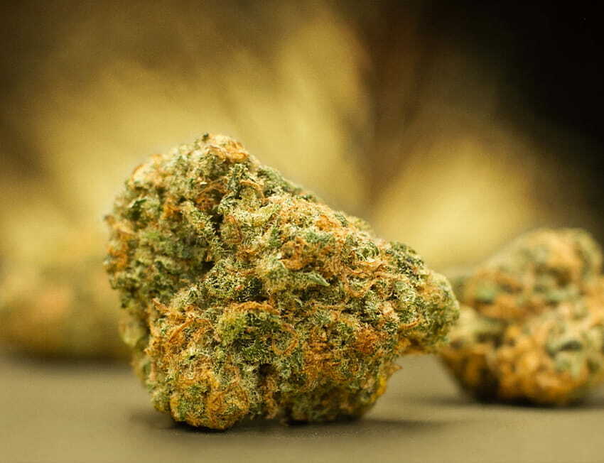 Colombian Gold